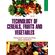 Technology-of-Cereals-Fruits-and-Vegetables