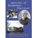 Speeches-of-Benjamin-Harrison