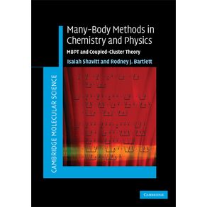 Many-Body-Methods-in-Chemistry-and-Physics