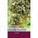 UNDERSTANDING-LOWER-PLANTS