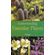 UNDERSTANDING--VASCULAR-PLANTS