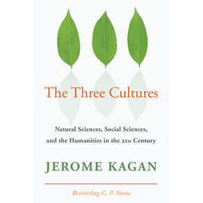 The-Three-Cultures