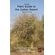 The-Small-Plant-Guide-to-the-Desert-Plants