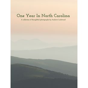 One-Year-In-North-Carolina