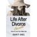 Life-After-Divorce-Secrets