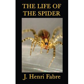 The-Life-of-the-Spider