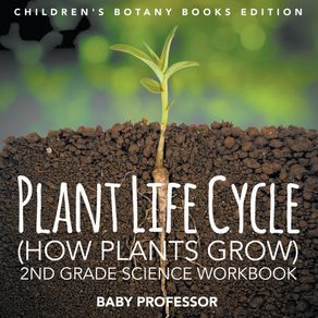 Plant-Life-Cycle--How-Plants-Grow-