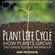 Plant-Life-Cycle--How-Plants-Grow-