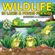 Wildlife-in-Lakes---Ponds-for-Kids--Aquatic---Marine-Life--|-2nd-Grade-Science-Edition-Vol-5