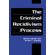 The-Criminal-Recidivism-Process