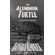 The-Aluminum-Turtle