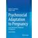 Psychosocial-Adaptation-to-Pregnancy