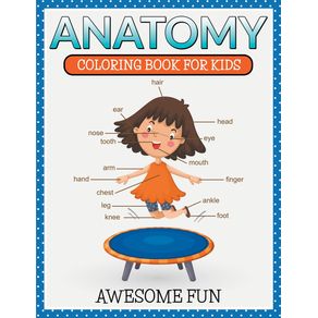 Anatomy