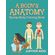 A-Bodys-Anatomy