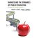 Harnessing-The-Dynamics-of-Public-Education