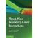 Shock-Wave-Boundary-Layer-Interactions