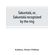 S-akuntala--or-S-akuntala--recognized-by-the-ring