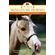 The-Book-of-Miniature-Horses