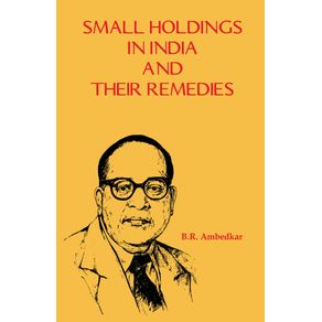 Small-Holdings-in-India-and-their-Remedies