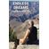 ENDLESS-DREAMS--The-BulletBall-Guy-