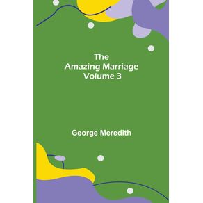 The-Amazing-Marriage---Volume-3