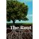 The-Root