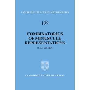Combinatorics-of-Minuscule-Representations