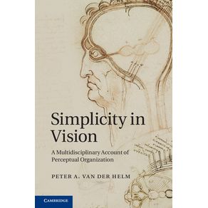 Simplicity-in-Vision