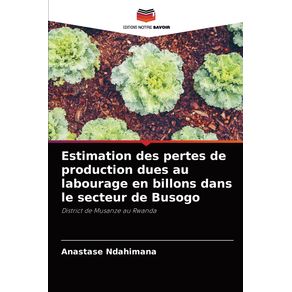 Estimation-des-pertes-de-production-dues-au-labourage-en-billons-dans-le-secteur-de-Busogo