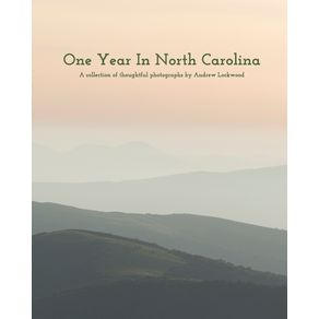 One-Year-In-North-Carolina