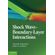Shock-Wave-Boundary-Layer-Interactions