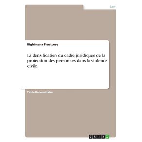 La-densification-du-cadre-juridiques-de-la-protection-des-personnes-dans-la-violence-civile