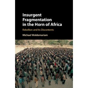 Insurgent-Fragmentation-in-the-Horn-of-Africa