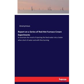 Report-on-a-Series-of-Red-Hot-Furnace-Crown-Experiments
