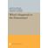 Whats-Happened-to-the-Humanities-