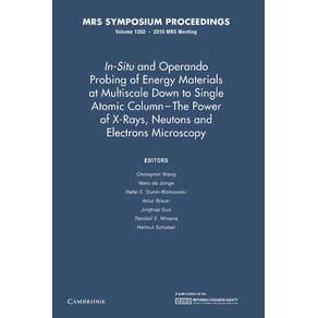 In-Situ-and-Operando-Probing-of-Energy-Materials-at-Multiscale-Down-to-Single-Atomic-Column---The-Power-of-X-Rays-Neutrons-and-Electron-Microscopy