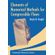Elements-of-Numerical-Methods-for-Compressible-Flows