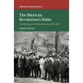 The-Mexican-Revolutions-Wake