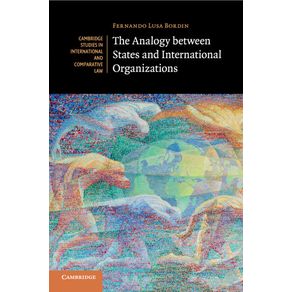 The-Analogy-between-States-and-International-Organizations