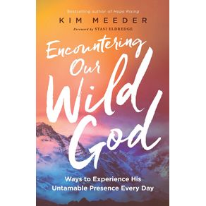 Encountering-Our-Wild-God