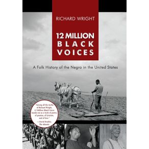 12-Million-Black-Voices