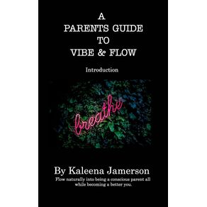A-Parents-Guide-To-Vibe-and-Flow