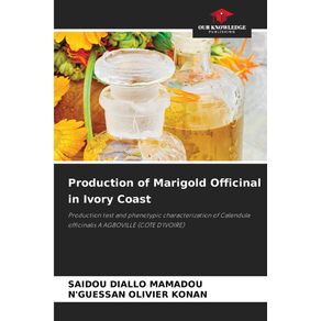 Production-of-Marigold-Officinal-in-Ivory-Coast