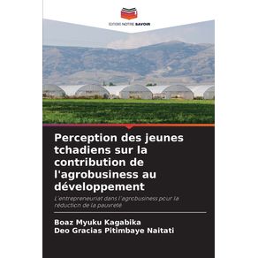 Perception-des-jeunes-tchadiens-sur-la-contribution-de-lagrobusiness-au-developpement