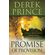 Promise-of-Provision
