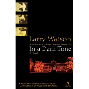 In-a-Dark-Time