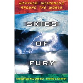 Skies-of-Fury