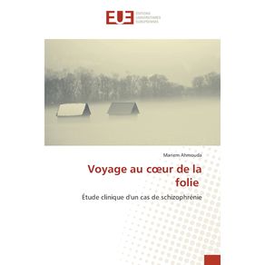 Voyage-au-cour-de-la-folie