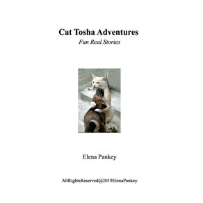 Cat-Tosha-Adventure