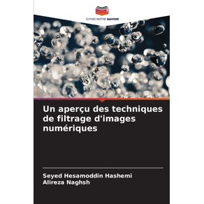 Un-apercu-des-techniques-de-filtrage-dimages-numeriques